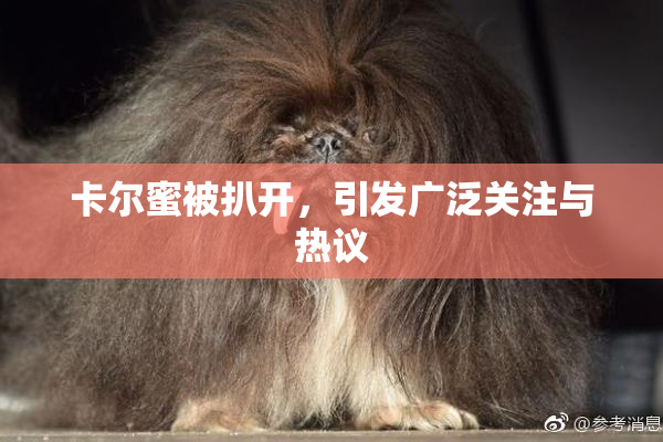 卡尔蜜被扒开，引发广泛关注与热议