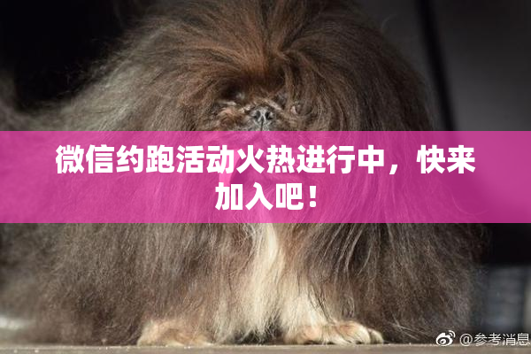微信约跑活动火热进行中，快来加入吧！