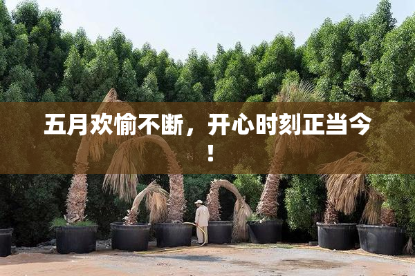 五月欢愉不断，开心时刻正当今！
