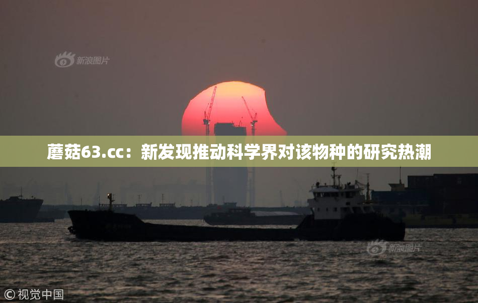 蘑菇63.㏄：新发现推动科学界对该物种的研究热潮