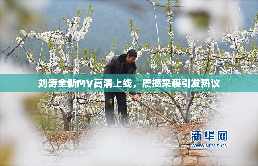刘涛全新MV高清上线，震撼来袭引发热议