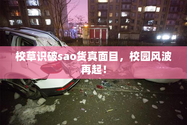 校草识破sao货真面目，校园风波再起！