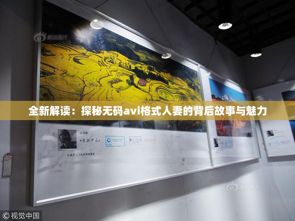 全新解读：探秘无码avi格式人妻的背后故事与魅力