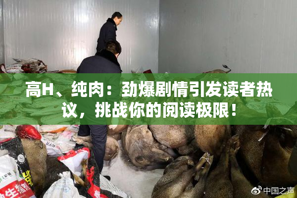 高H、纯肉：劲爆剧情引发读者热议，挑战你的阅读极限！
