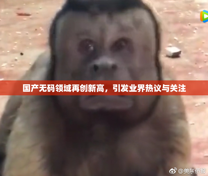 国产无码领域再创新高，引发业界热议与关注