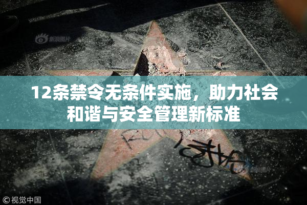 12条禁令无条件实施，助力社会和谐与安全管理新标准