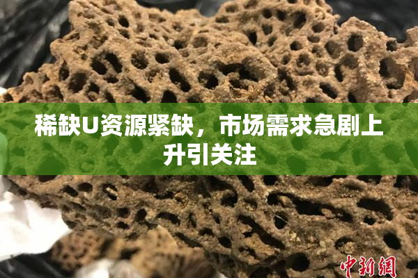 稀缺U资源紧缺，市场需求急剧上升引关注