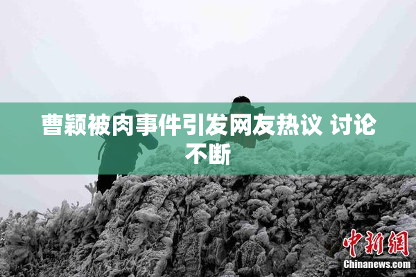 曹颖被肉事件引发网友热议 讨论不断