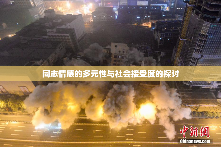 同志情感的多元性与社会接受度的探讨