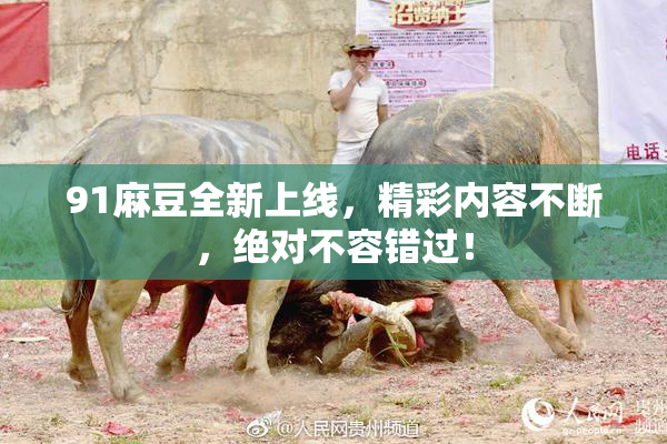 91麻豆全新上线，精彩内容不断，绝对不容错过！