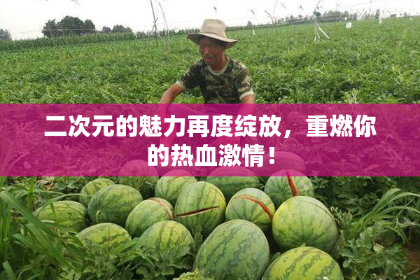 二次元的魅力再度绽放，重燃你的热血激情！
