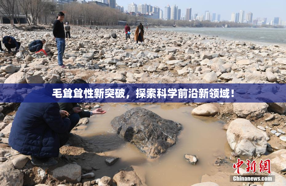 毛耸耸性新突破，探索科学前沿新领域！