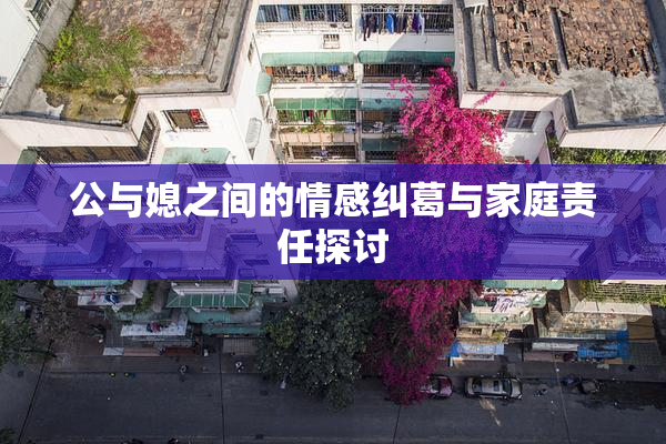 公与媳之间的情感纠葛与家庭责任探讨