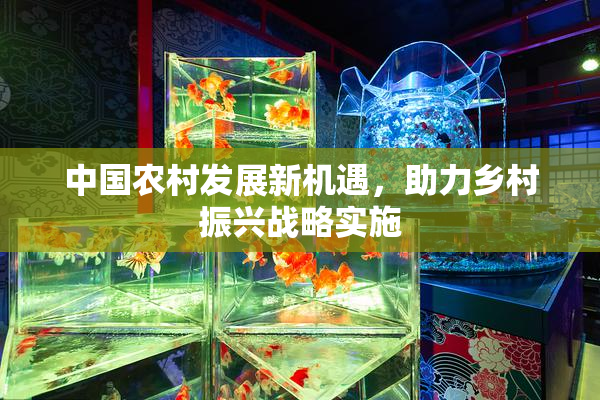 中国农村发展新机遇，助力乡村振兴战略实施
