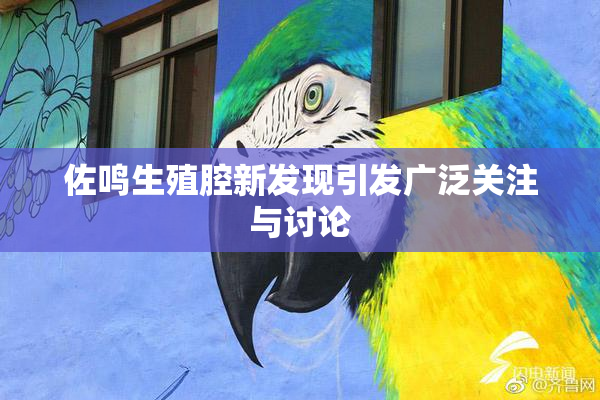 佐鸣生殖腔新发现引发广泛关注与讨论