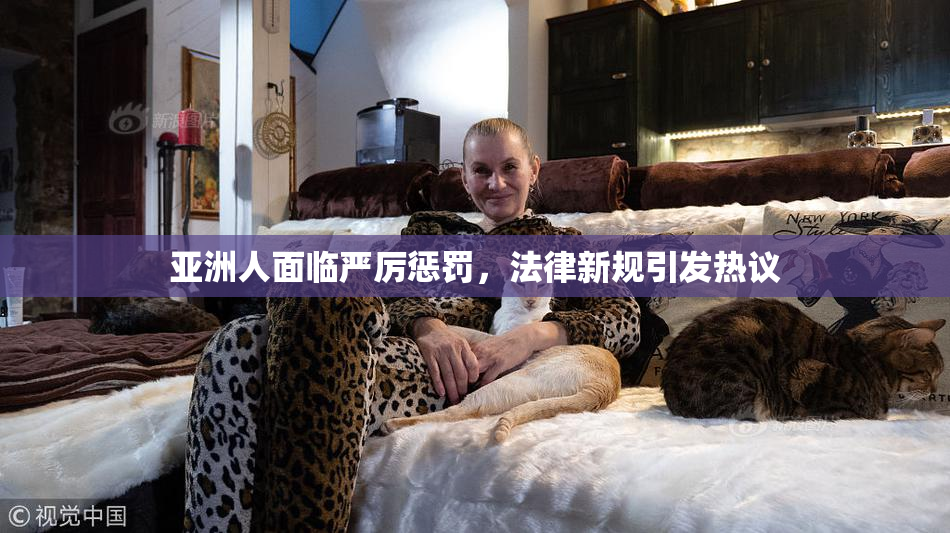 亚洲人面临严厉惩罚，法律新规引发热议