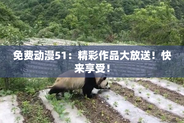 免费动漫51：精彩作品大放送！快来享受！