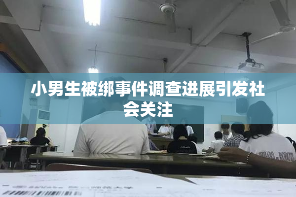 小男生被绑事件调查进展引发社会关注