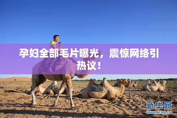 孕妇全部毛片曝光，震惊网络引热议！