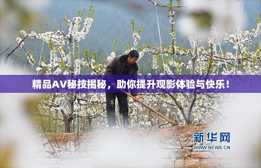 精品AV秘技揭秘，助你提升观影体验与快乐！