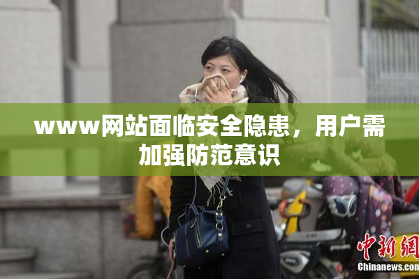 www网站面临安全隐患，用户需加强防范意识