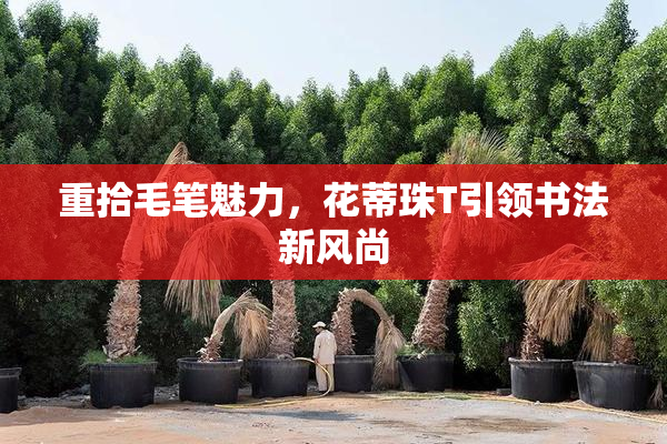 重拾毛笔魅力，花蒂珠T引领书法新风尚