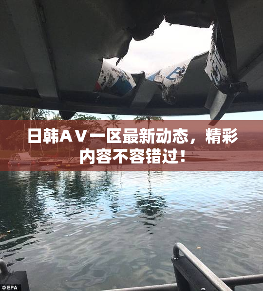 日韩AⅤ一区最新动态，精彩内容不容错过！