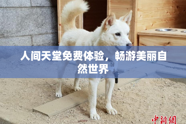 人间天堂免费体验，畅游美丽自然世界