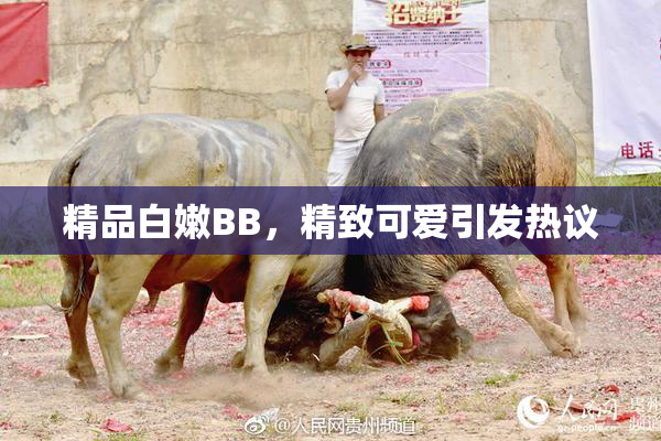 精品白嫩BB，精致可爱引发热议