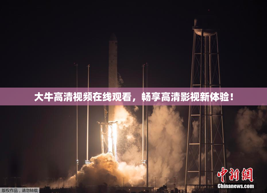 大牛高清视频在线观看，畅享高清影视新体验！