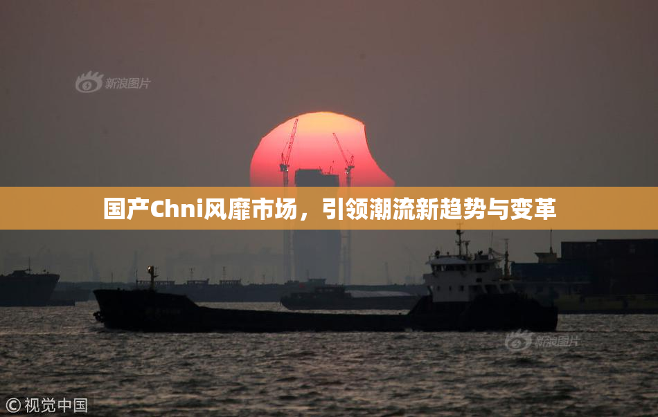 国产Chni风靡市场，引领潮流新趋势与变革