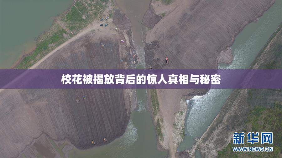 校花被揭放背后的惊人真相与秘密