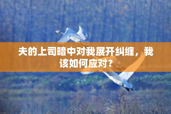 夫的上司暗中对我展开纠缠，我该如何应对？