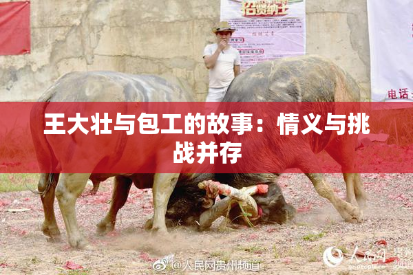王大壮与包工的故事：情义与挑战并存