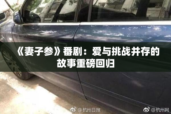 《妻子参》番剧：爱与挑战并存的故事重磅回归