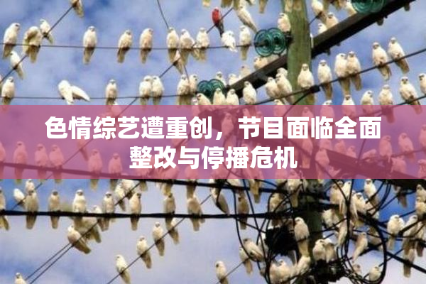 色情综艺遭重创，节目面临全面整改与停播危机