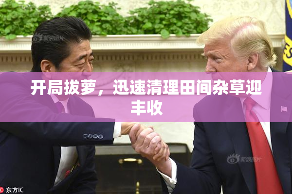 开局拔萝，迅速清理田间杂草迎丰收