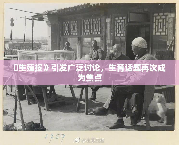 巜生殖按》引发广泛讨论，生育话题再次成为焦点