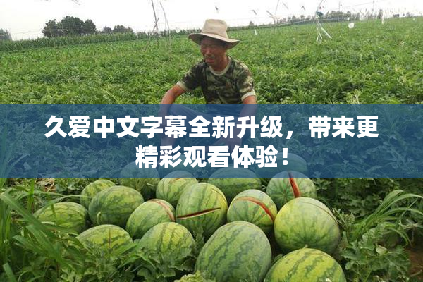 久爱中文字幕全新升级，带来更精彩观看体验！