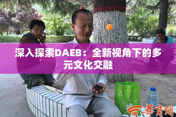 深入探索DAEB：全新视角下的多元文化交融