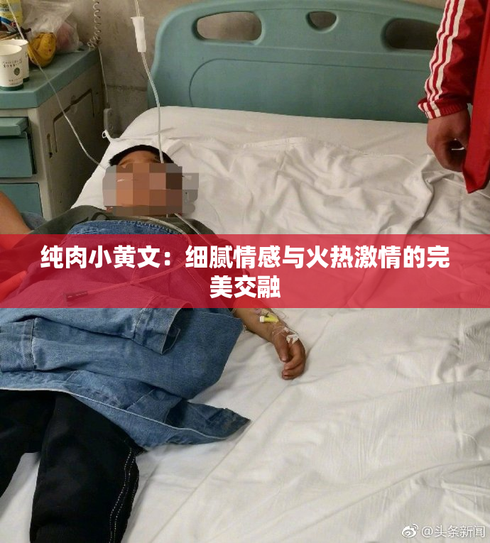 纯肉小黄文：细腻情感与火热激情的完美交融