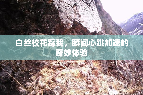白丝校花踩我，瞬间心跳加速的奇妙体验