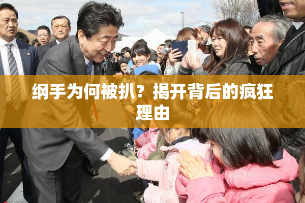 纲手为何被扒？揭开背后的疯狂理由