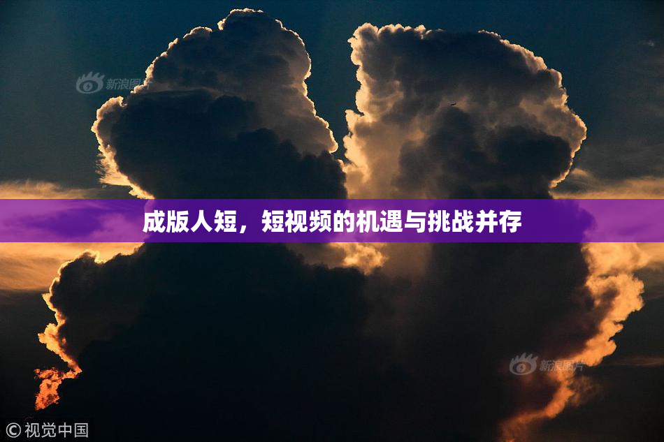 成版人短，短视频的机遇与挑战并存