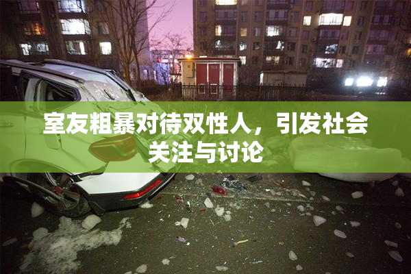 室友粗暴对待双性人，引发社会关注与讨论