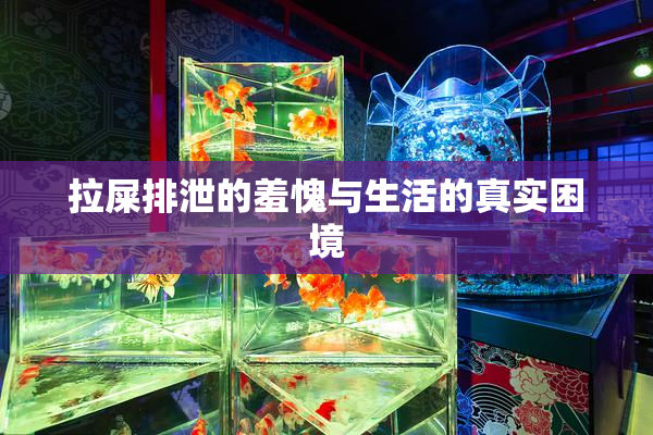 拉屎排泄的羞愧与生活的真实困境