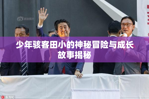 少年骇客田小的神秘冒险与成长故事揭秘