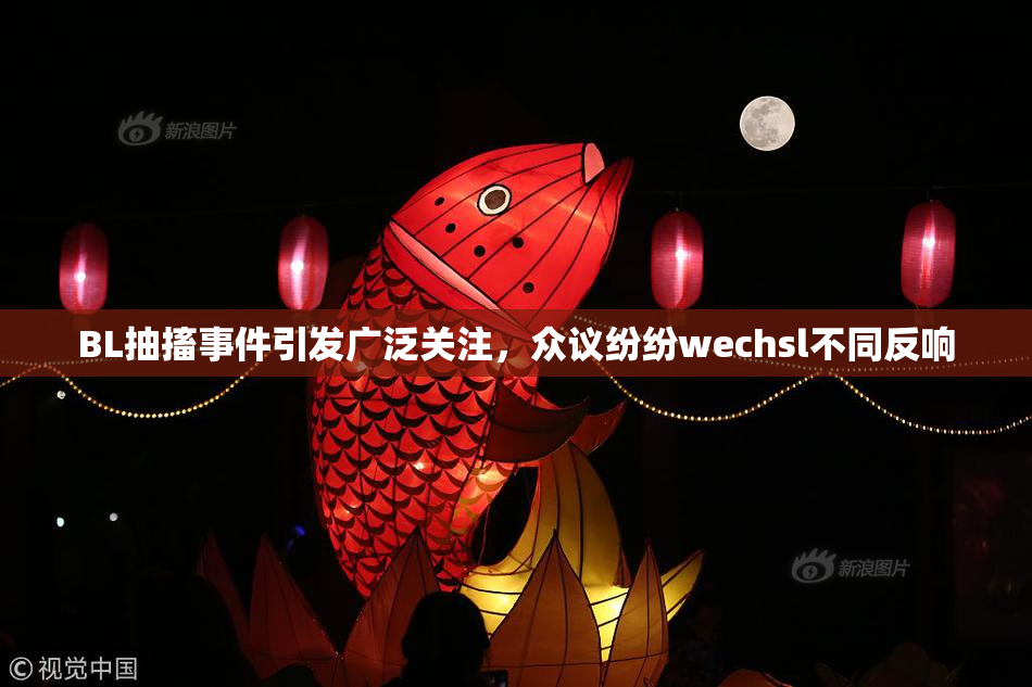 BL抽搐事件引发广泛关注，众议纷纷wechsl不同反响