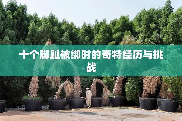 十个脚趾被绑时的奇特经历与挑战