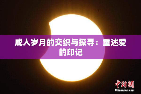 成人岁月的交织与探寻：重述爱的印记